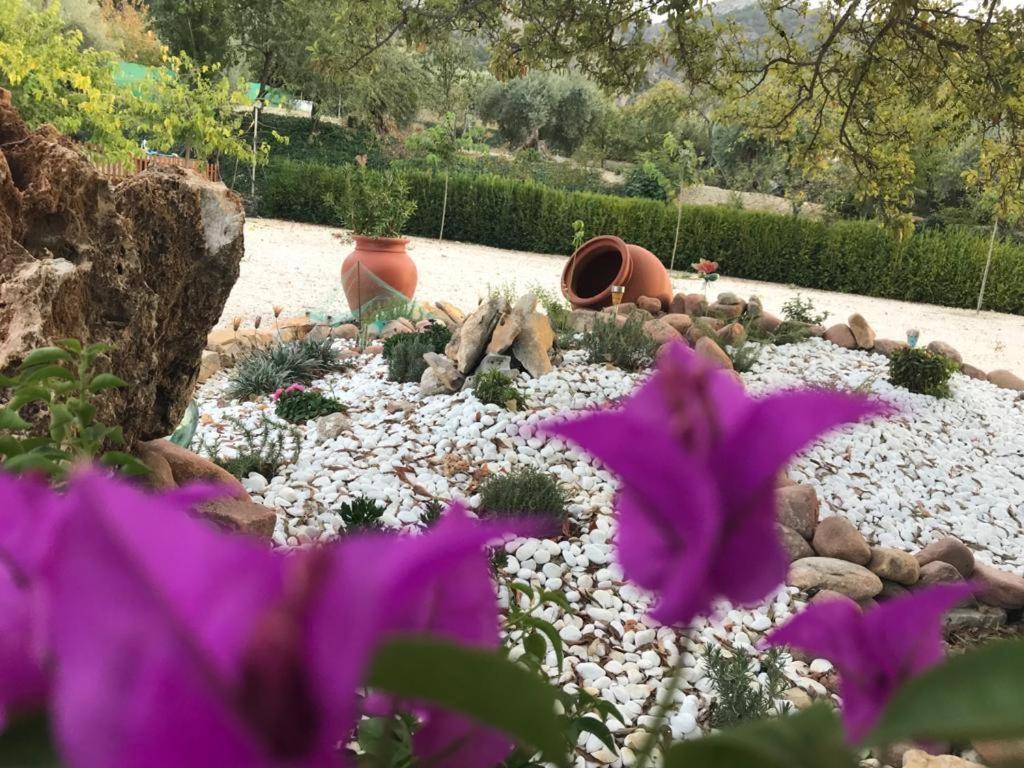 Alojamiento Rural Casa Fuente Del Prado La Iruela Bagian luar foto